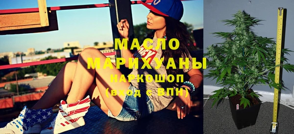 мдпв Краснослободск