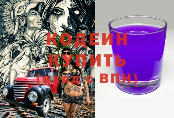 мдпв Краснослободск