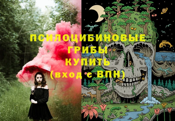 мдпв Краснослободск