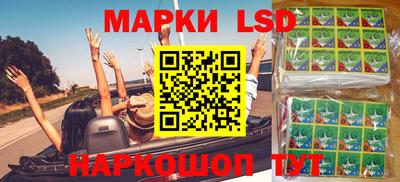 spice Донецк