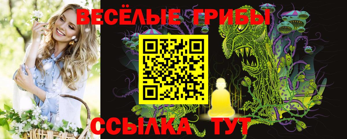 Галлюциногенные грибы мухоморы  Шадринск 